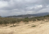 Terreno no urbanizable en venta en la España, Padul, ref: TR302865 foto