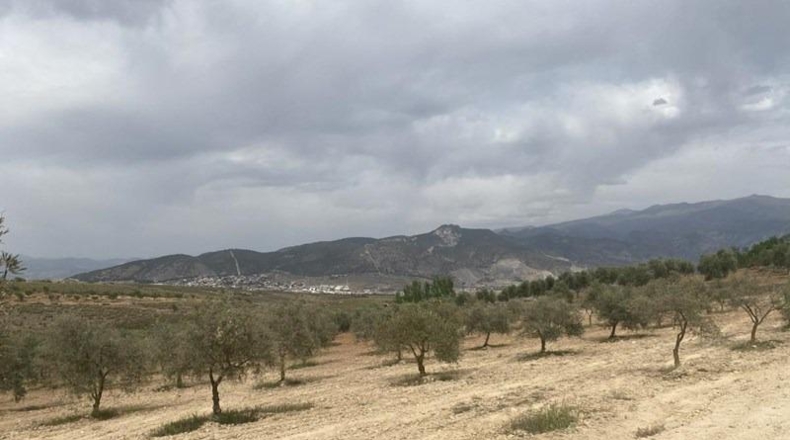 Granada - Padul - 8600m2