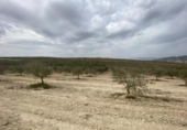Terreno no urbanizable en venta en la España, Padul, ref: TR302865 foto