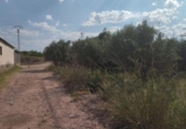 Terreno no urbanizable en venta en la España, Calasparra, ref: TR119475 foto