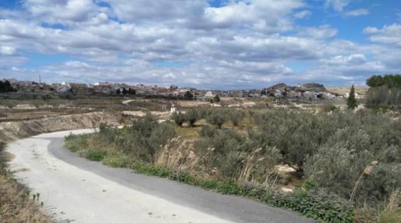 Múrcia - Calasparra - 6409m2