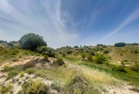 Lillo 1254&nbsp;m²
