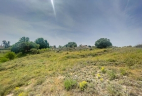 Lillo 1254&nbsp;m²