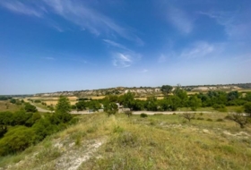 Lillo 1254&nbsp;m²