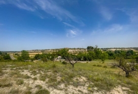 Lillo 1254&nbsp;m²