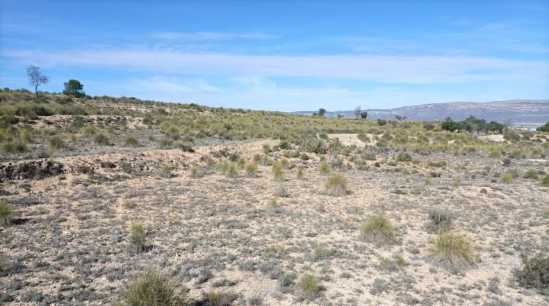 Albacete - Almansa - 15604m2