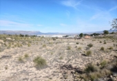 Terreno no urbanizable en venta en la España, Almansa, ref: TR128312 foto