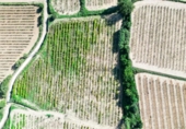 Non-developable land for sale on España, l'Arboç, ref: TR353483 photo