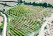 Non-developable land for sale on España, l'Arboç, ref: TR353483 photo