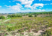 Non-developable land for sale on España, l'Arboç, ref: TR353483 photo