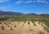 Terreno no urbanizable en venta en la España, Laujar de Andarax, ref: TR296922 foto