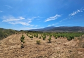 Terreno no urbanizable en venta en la España, Laujar de Andarax, ref: TR296922 foto