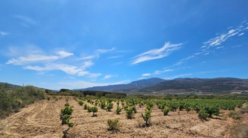 Almeria - Láujar de Andarax - 6295m2
