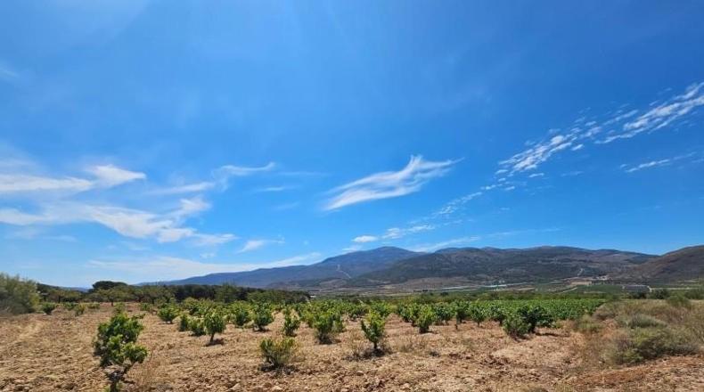 Almeria - Láujar de Andarax - 6295m2