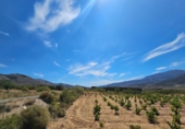 Terreno no urbanizable en venta en la España, Laujar de Andarax, ref: TR296922 foto