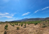 Terreno no urbanizable en venta en la España, Laujar de Andarax, ref: TR296922 foto