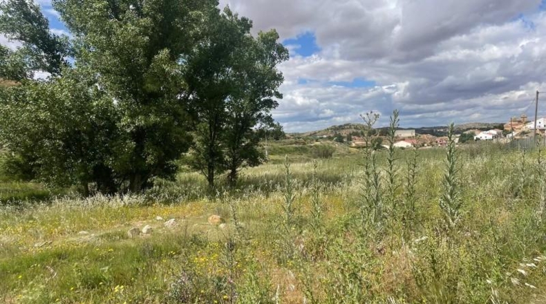 Albacete - Fuentealbilla - 24887m2