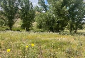 Fuentealbilla 24887&nbsp;m²