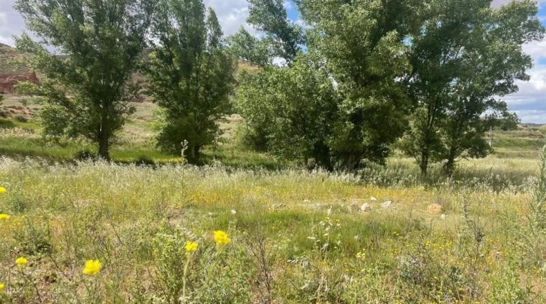 Albacete - Fuentealbilla - 24887m2