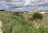 Terreno no urbanizable en venta en la España, Fuentealbilla, ref: TR132321 foto