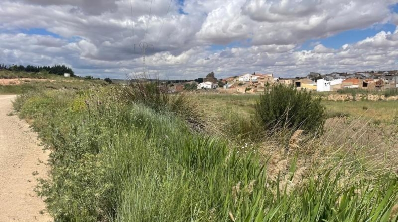 Albacete - Fuentealbilla - 24887m2