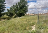 Terreno no urbanizable en venta en la España, Fuentealbilla, ref: TR132321 foto