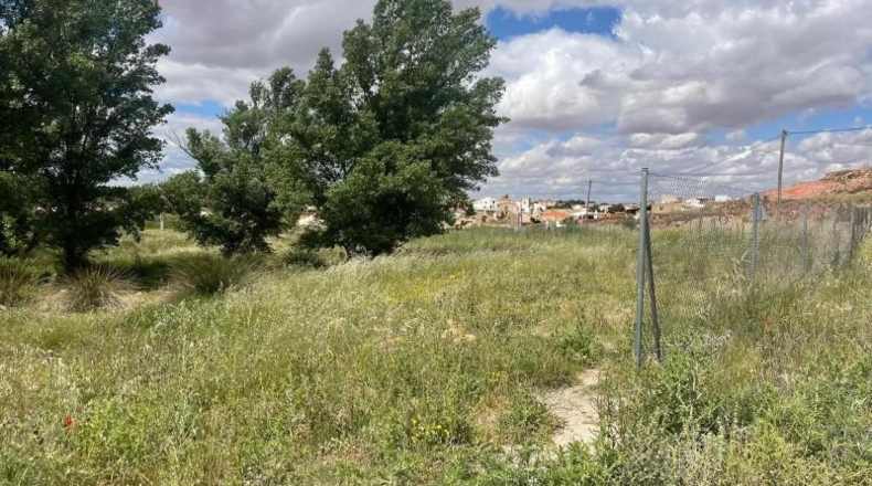 Albacete - Fuentealbilla - 24887m2