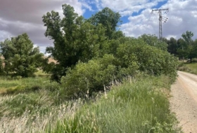 Fuentealbilla 24887&nbsp;m²