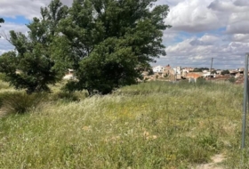 Fuentealbilla 24887&nbsp;m²