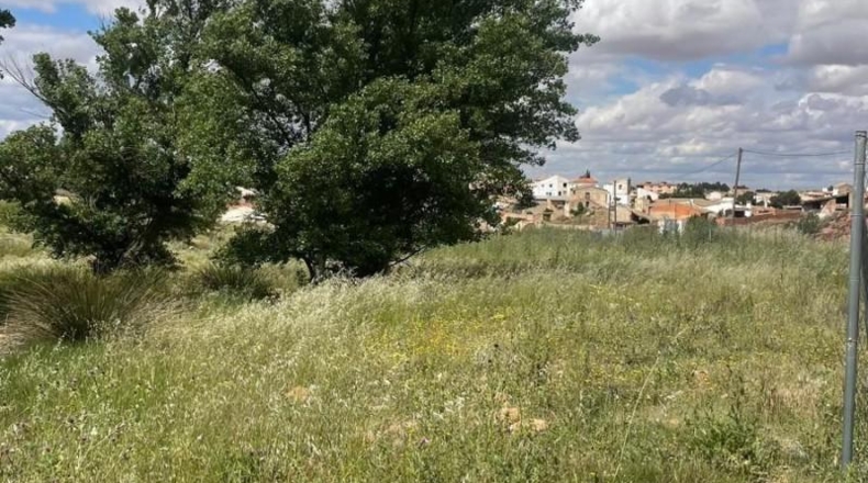 Albacete - Fuentealbilla - 24887m2