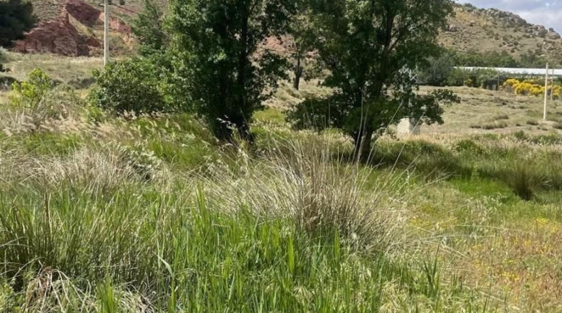 Albacete - Fuentealbilla - 24887m2