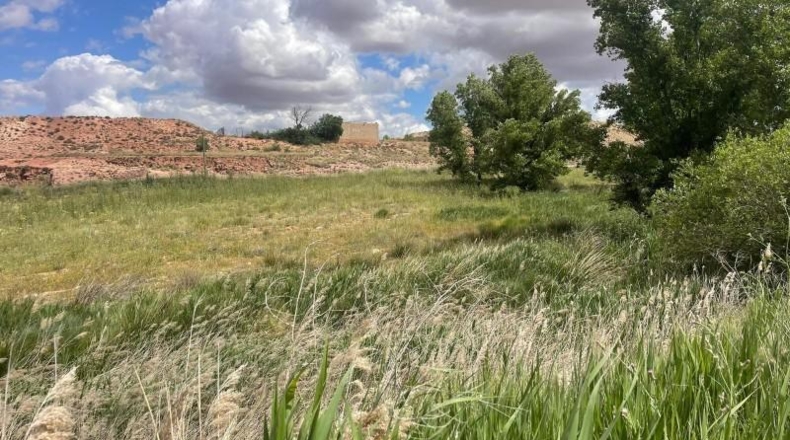 Albacete - Fuentealbilla - 24887m2