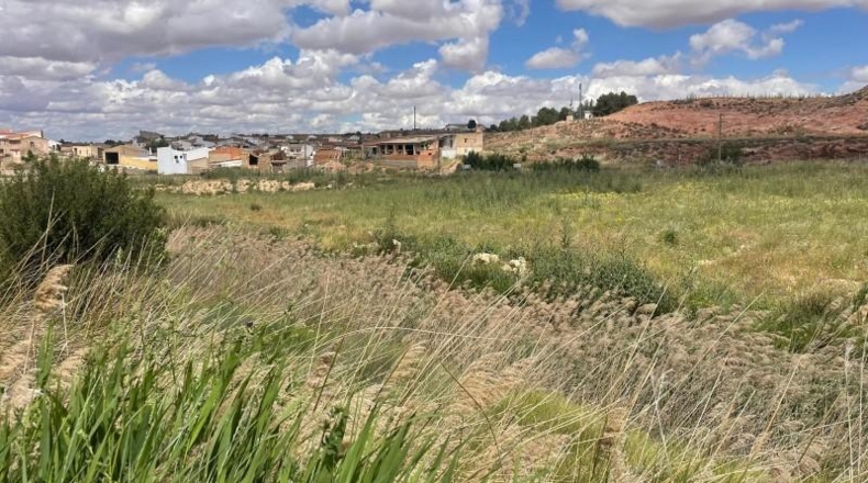 Albacete - Fuentealbilla - 24887m2