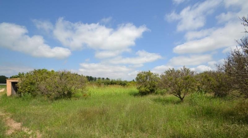 Tarragona - Sant Jaume d'Enveja - 4964m2