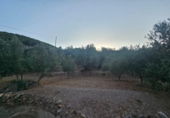 Terreno no urbanizable en venta en la España, Fondón, ref: TR296265 foto
