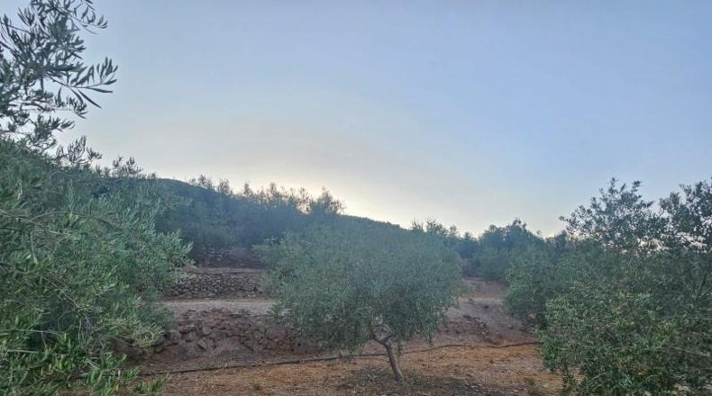 Lugo - Fondón - 3580m2