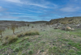 Albuñuelas 10528&nbsp;m²