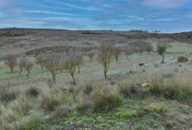 Albuñuelas 10528&nbsp;m²