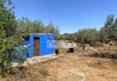 Terreny no urbanitzable en venda a la España, el Perelló, ref.: TR308997 foto