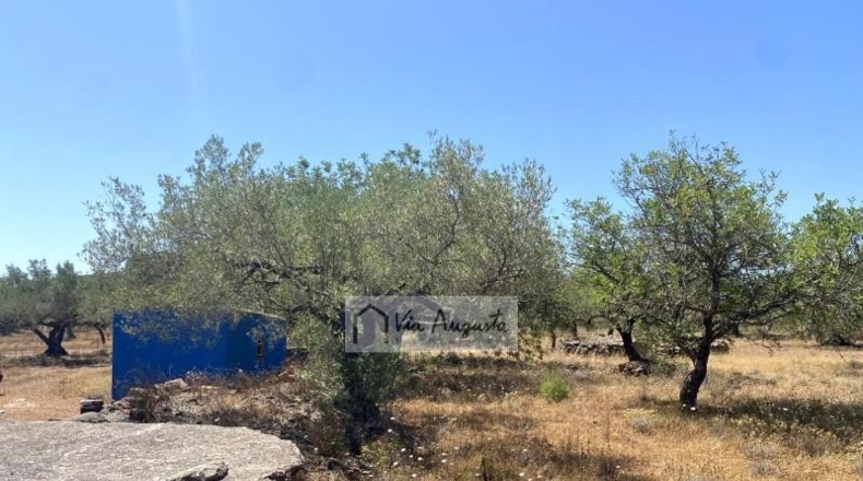 Tarragona - el Perelló - 6051m2