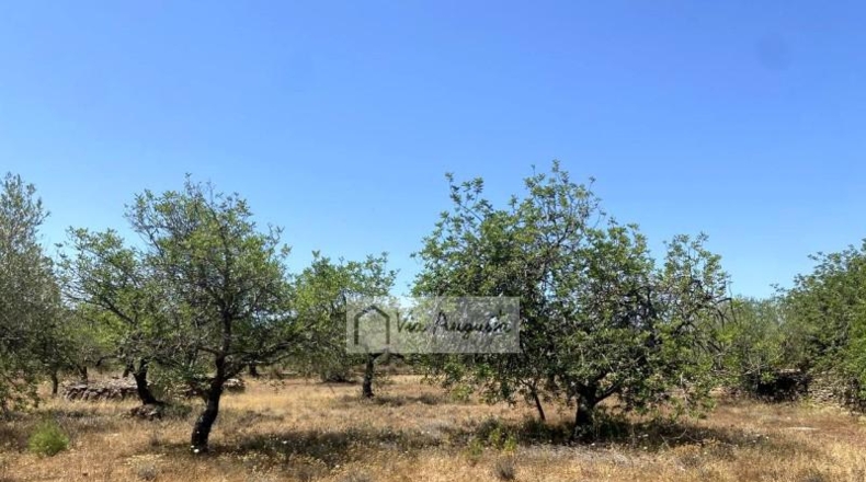 Tarragona - el Perelló - 6051m2