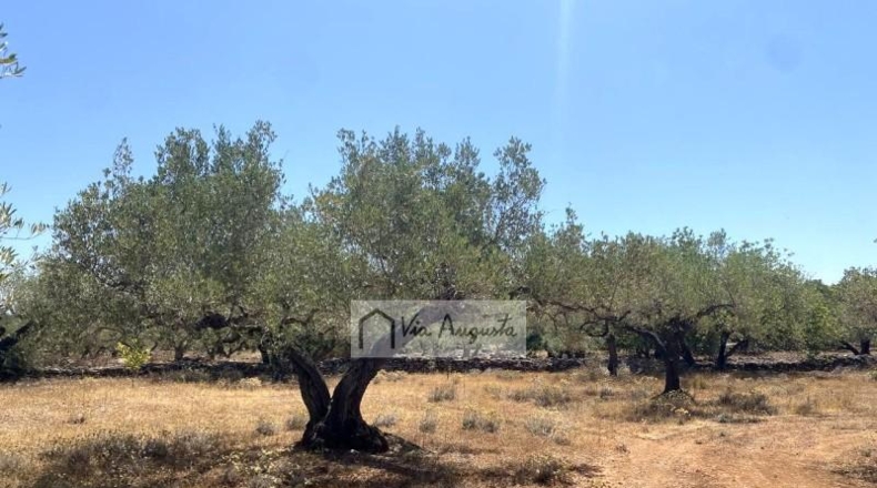 Tarragona - el Perelló - 6051m2