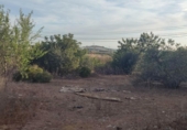 Terreno no urbanizable en venta en la España, El Puig de Santa Maria, ref: TR309696 foto