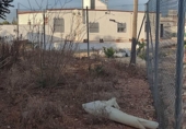 Terreno no urbanizable en venta en la España, El Puig de Santa Maria, ref: TR309696 foto