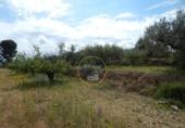 Non-developable land for sale on España, Bèlgida, ref: TR243834 photo