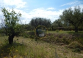 Non-developable land for sale on España, Bèlgida, ref: TR243834 photo