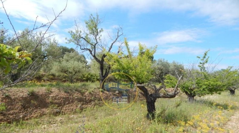 Valencia - Bélgida - 7m2