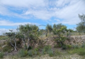 Non-developable land for sale on España, Bèlgida, ref: TR243834 photo