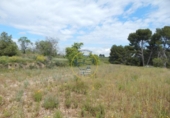 Non-developable land for sale on España, Bèlgida, ref: TR243834 photo