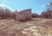 Casa de campo con terreno en venta en la España, Ulldecona, ref: TR311835 foto